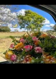 一言不发我成了军师祭酒